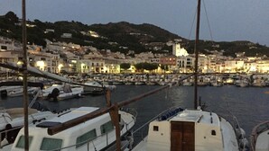 A marina with boats docked, a wooden walkway, and buildings in the background.