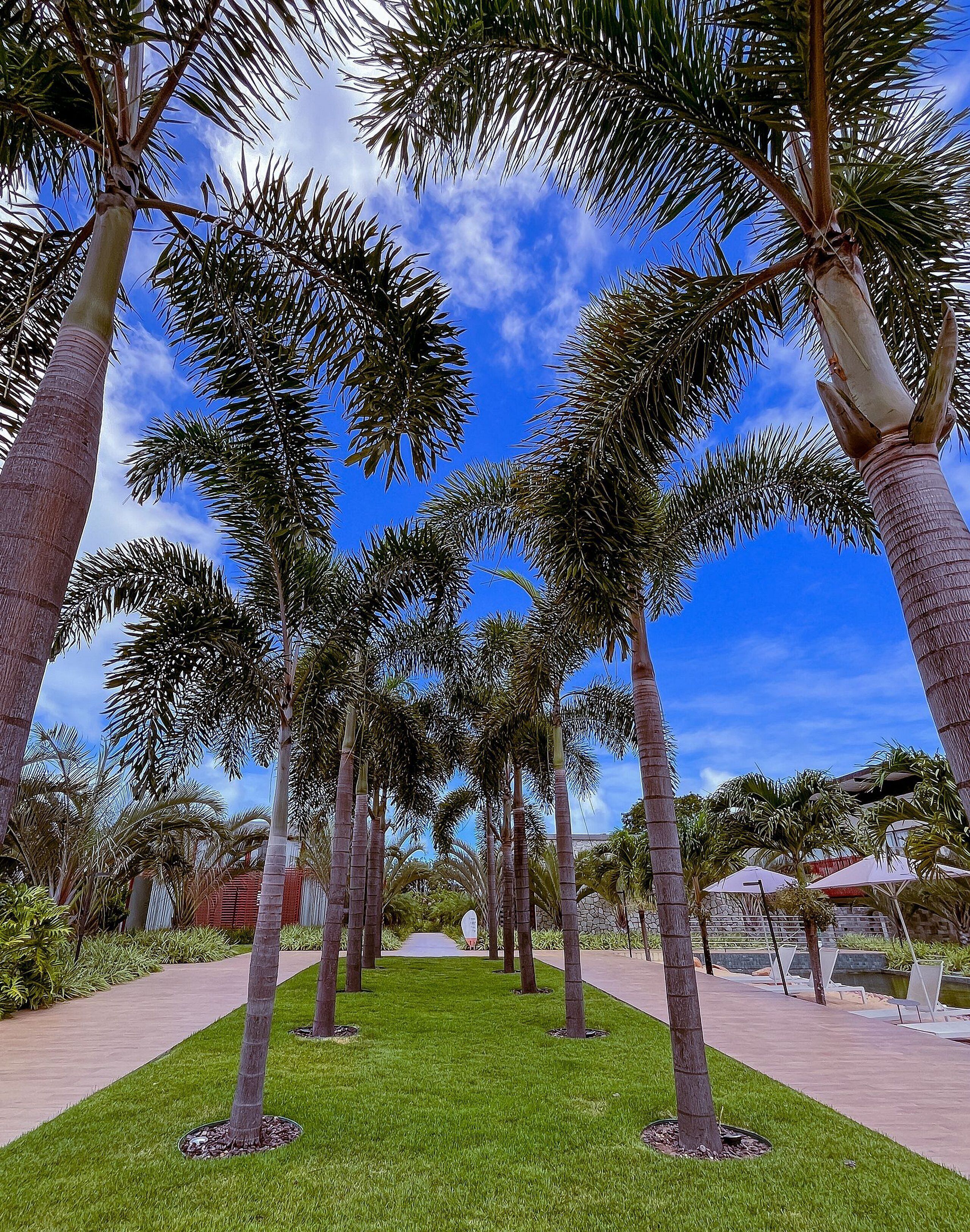 Área da propriedade