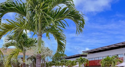 Ile de Pipa- Summer Pipa