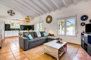 Fernseher, Kamin