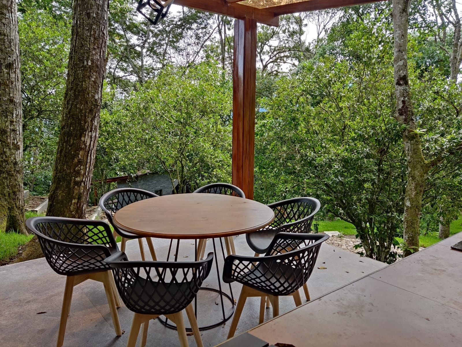 Un patio exterior con una mesa redonda y sillas, rodeado de árboles y follaje.