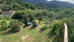 A rural landscape with a house, olive trees, and rolling hills in the background. - Holiday Home 'La Capanna Di Arturo Ground Floor' with Mountain View, Wi-Fi and Air Conditioning (Capannori)