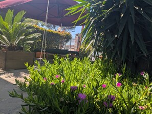 Un jardín con plantas y flores en macetas, una jardinera de madera y un paraguas rojo.