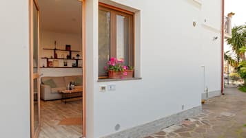 Detalle del exterior