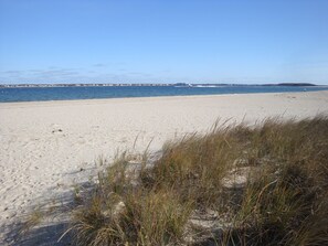 Espreguiçadeiras, toalhas de praia 