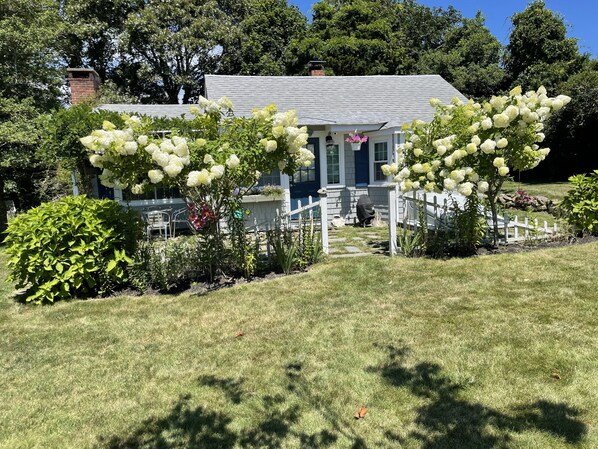 A house with a white fence, a garden with white flowers, and a lawn.