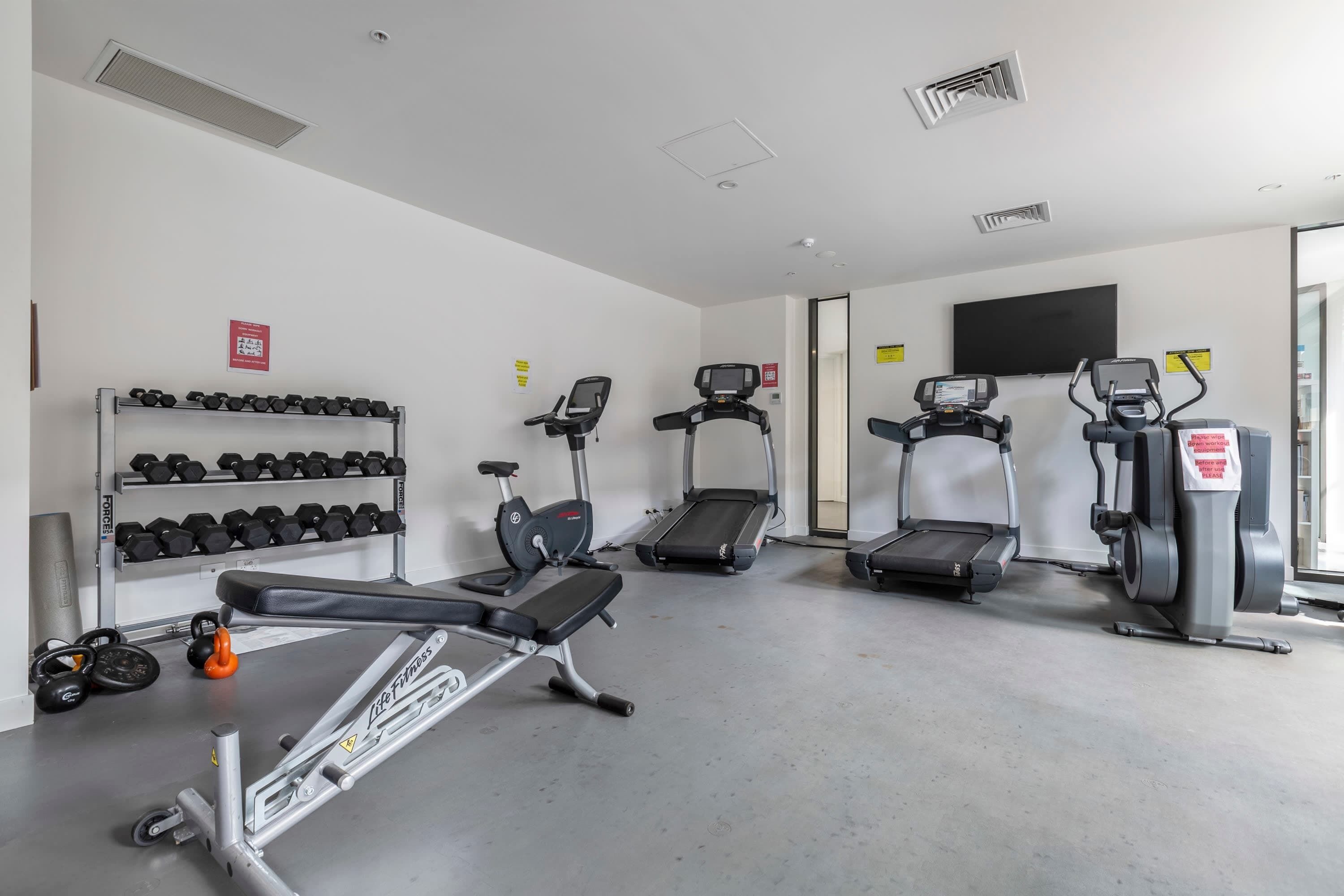 A gym with treadmills, elliptical machines, and dumbbells.