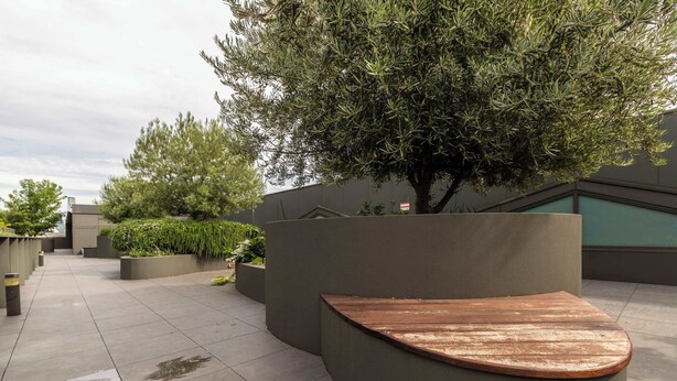 Un patio con un banco de madera curvo, macetas con follaje y un árbol grande.
