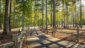 A forested area with a paved path, wooden benches, and a wooden fence.