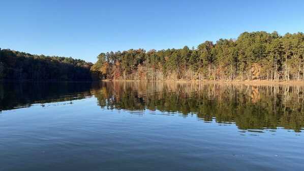 A calm lake with dense forest on both sides. - Serene Oakwood Townhouse (Oakwood)