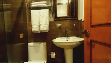 Regadera, secadora de cabello, toallas, jabón