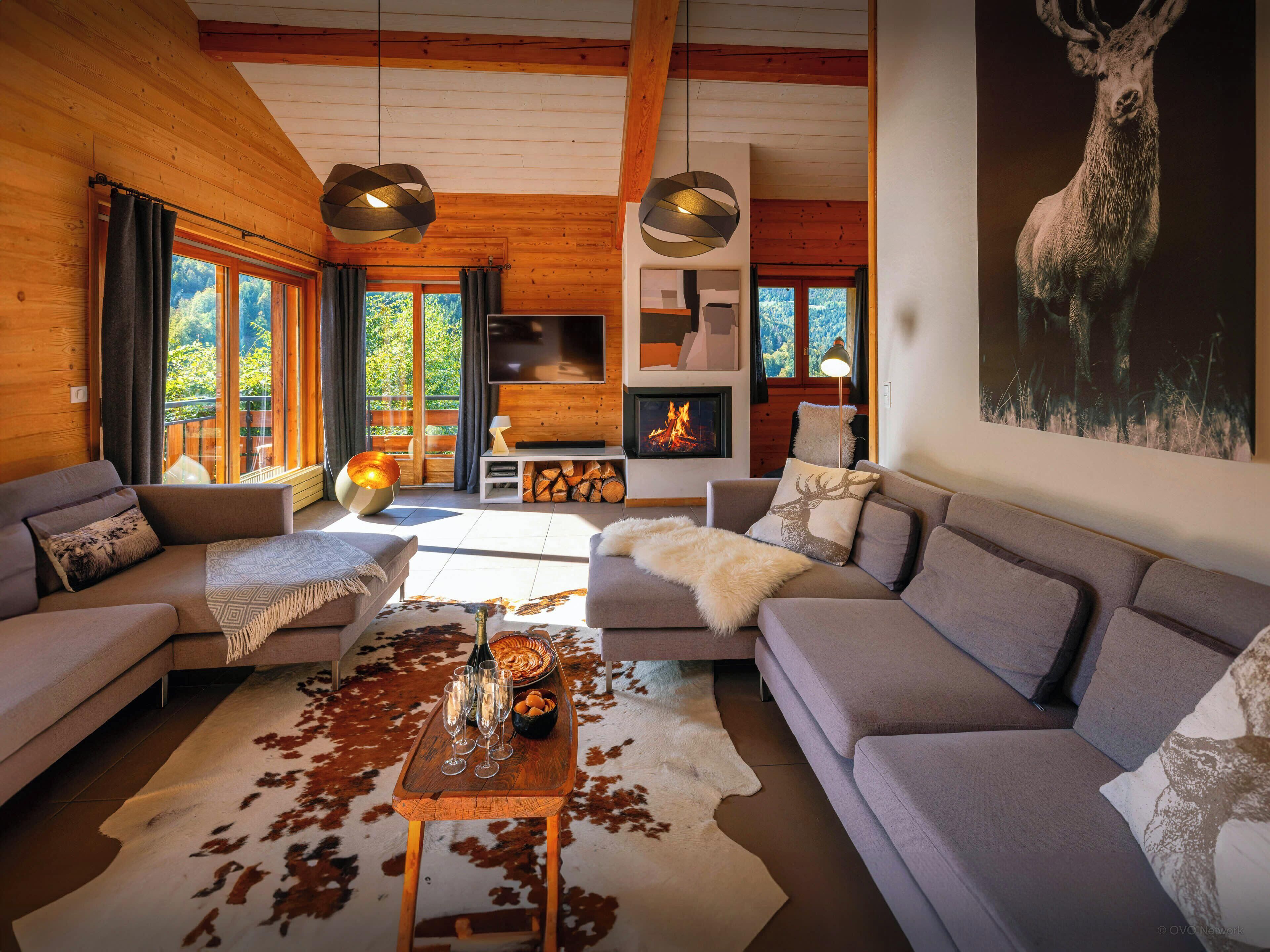 TV, fireplace, ping pong