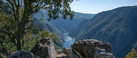 Un camí rocós que condueix a un riu en un congost, ple de vegetació densa i arbres.