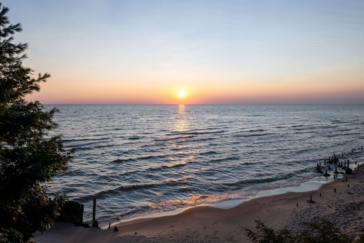 Imagen de perfil del propietario o de la propietaria