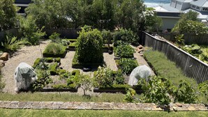 A well-maintained garden with various plants and a stone border. - Wombarra Beach House with Ocean views 
Sleeps 8 (Wombarra)