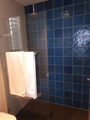 Hair dryer, towels, soap, shampoo