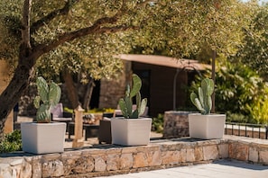 Terassi/patio