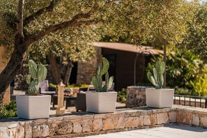 Terraza o patio
