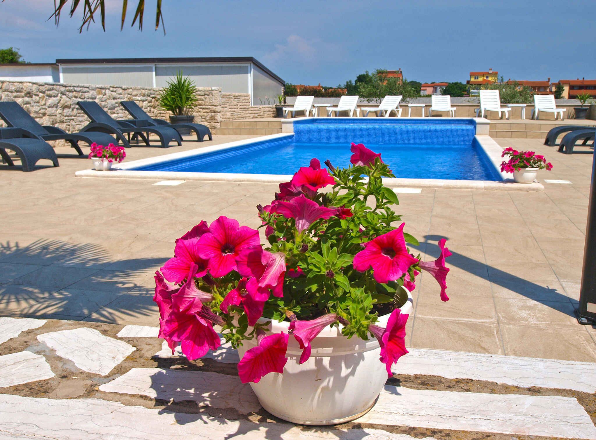 Zona de piscina con sillones de descanso, piscina e hidroflores.