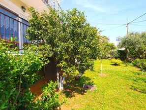 Property grounds - Holiday apartment with air conditioning (Premantura)
