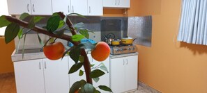 Fridge, microwave, coffee/tea maker, electric kettle