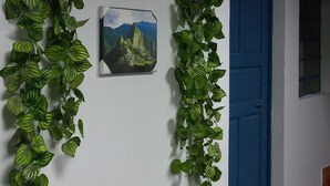 外观细节