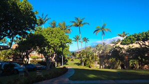 A well-maintained garden with palm trees, a paved walkway, and parked cars. - Beautiful 2 bedroom, 2 bath Condo in Maui Hawaii! Maui Kamaole C204. South Kihei (Kihei)