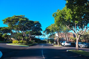 Property grounds - Beautiful 2 bedroom, 2 bath Condo in Maui Hawaii! Maui Kamaole C204. South Kihei (Kihei)