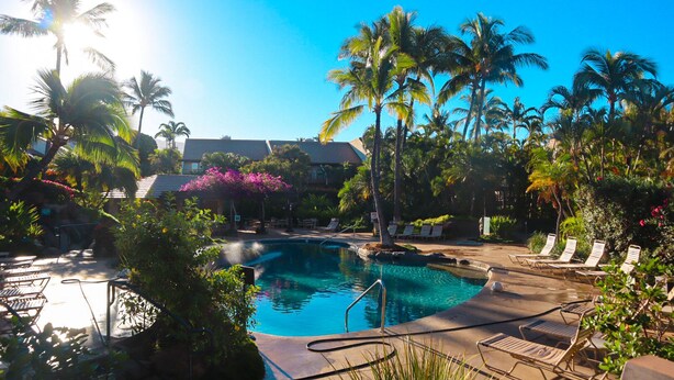 A pool area with lounge chairs and palm trees. - Beautiful 2 bedroom, 2 bath Condo in Maui Hawaii! Maui Kamaole C204. South Kihei (Kihei)