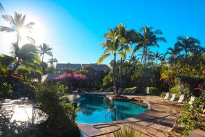 A pool area with lounge chairs and palm trees. - Beautiful 2 bedroom, 2 bath Condo in Maui Hawaii! Maui Kamaole C204. South Kihei (Kihei)