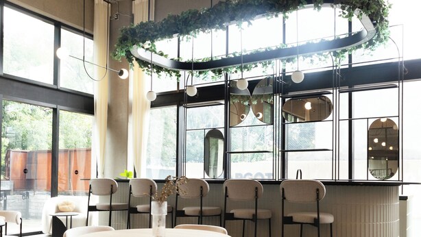 A modern dining area with a round table, multiple chairs, and a hanging plant. - Margot. Expo (Guadalajara)