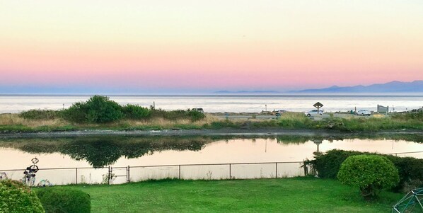 A calm body of water reflecting the sky, surrounded by greenery and a fence. - Stunning Beach Front Suite 15min To Downtown! (Victoria)