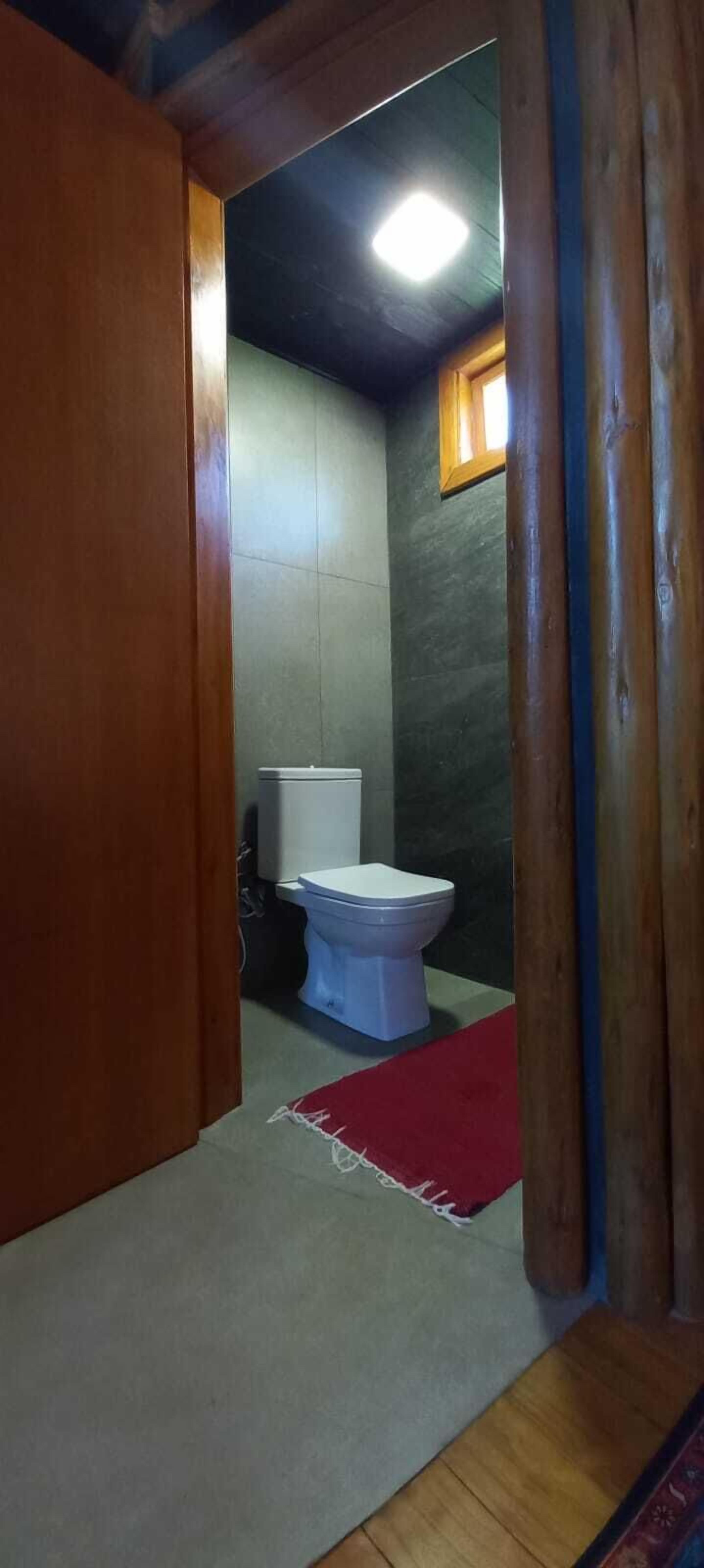 A narrow hallway leading to a bathroom with a toilet and a red rug.