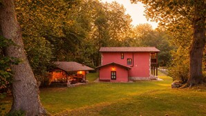 A red house with a small porch and a lit window, surrounded by trees and a grassy yard. - Villa Las Ardillas con Piscina (Cardoso (Llanes))