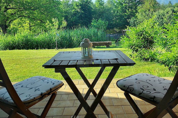 View - Comfot Studio