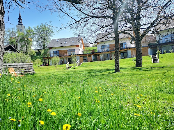 A grassy area with a modern building, a church tower, and a tree.