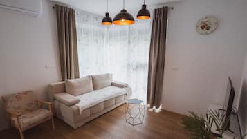 TV, fireplace, DVD player, books