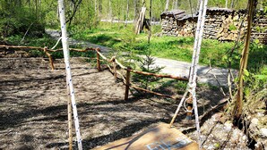 Uklassifisert bilde, 2 av 56, knapp
