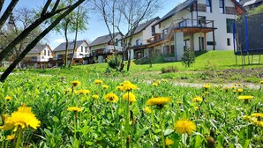 Ein Wohngebiet mit modernen Häusern, einer Wiese mit Löwenzahn und blauem Himmel.