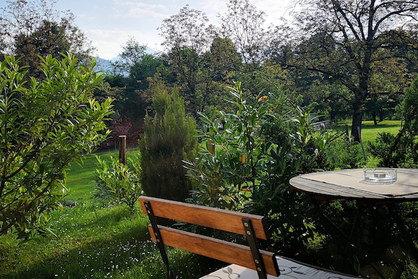 View - Classic Studio