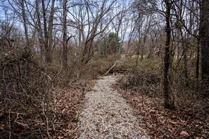 Un sendero de grava atraviesa una zona boscosa con suelo cubierto de hojas y árboles sin hojas.