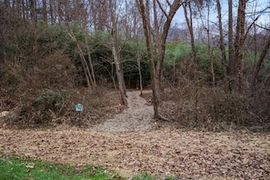 A forested path with a sign indicating a trail.