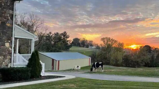 A stone house with a porch, a small shed, and a horse in a rural setting during sunset. - Charming Farmhouse In Quarryville,PA

 (Quarryville)