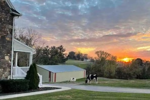 Property grounds - Charming Farmhouse In Quarryville,PA

 (Quarryville)