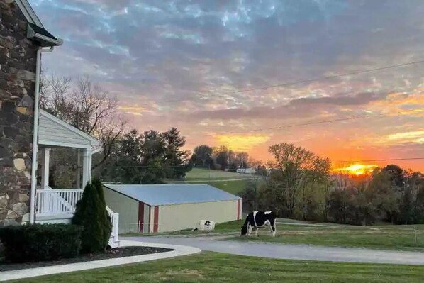 Overnattingsstedets uteområder