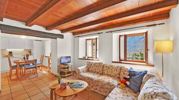 TV, fireplace, books