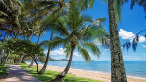Un sentier bordé de palmiers qui longe la plage et mène à l’océan.