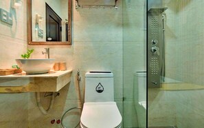 Shower, hydromassage showerhead, designer toiletries, hair dryer
