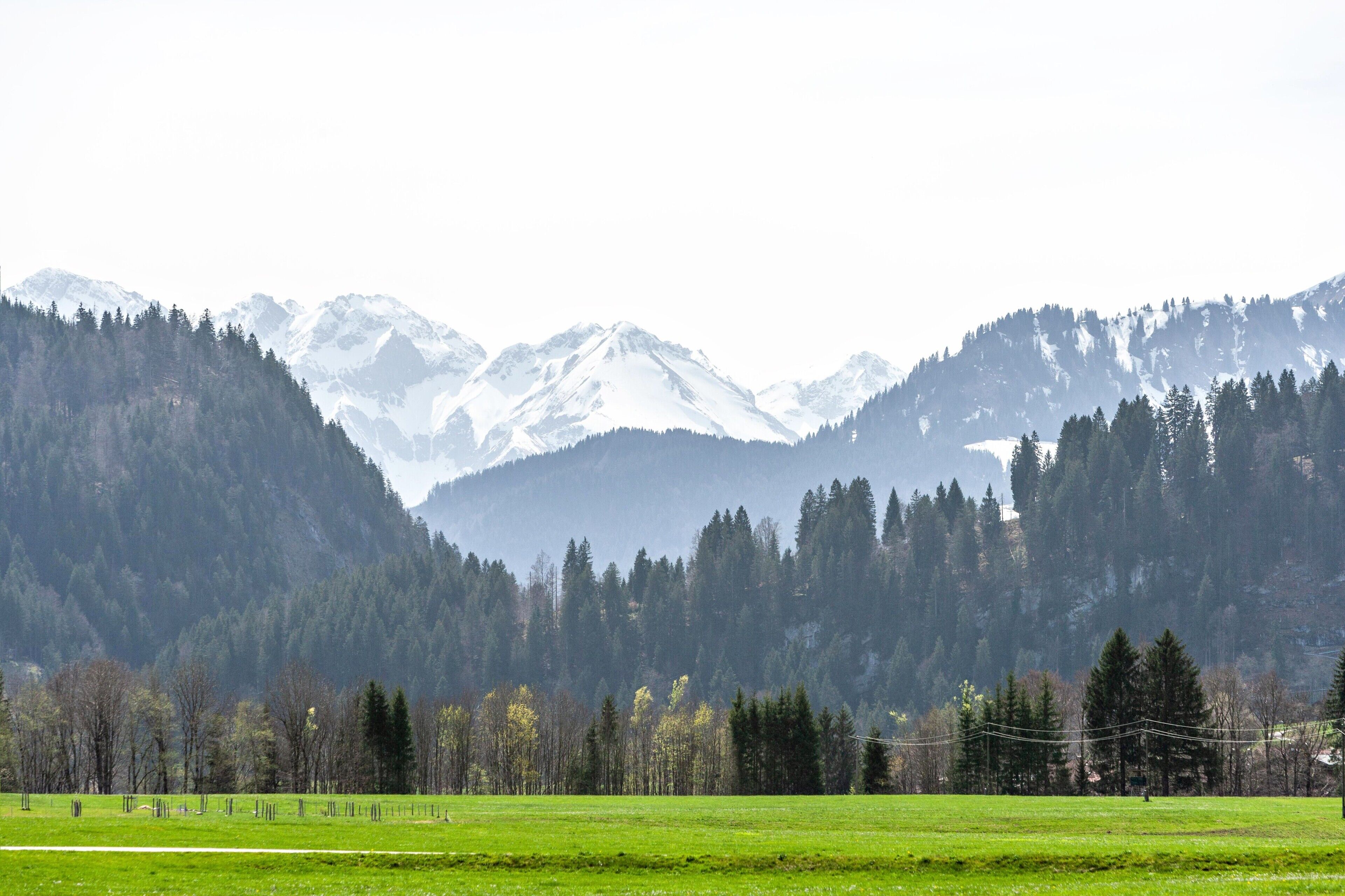 Eine gebirgige Landschaft mit schneebedeckten Gipfeln, einem bewaldeten Tal und einer grünen Wiese.