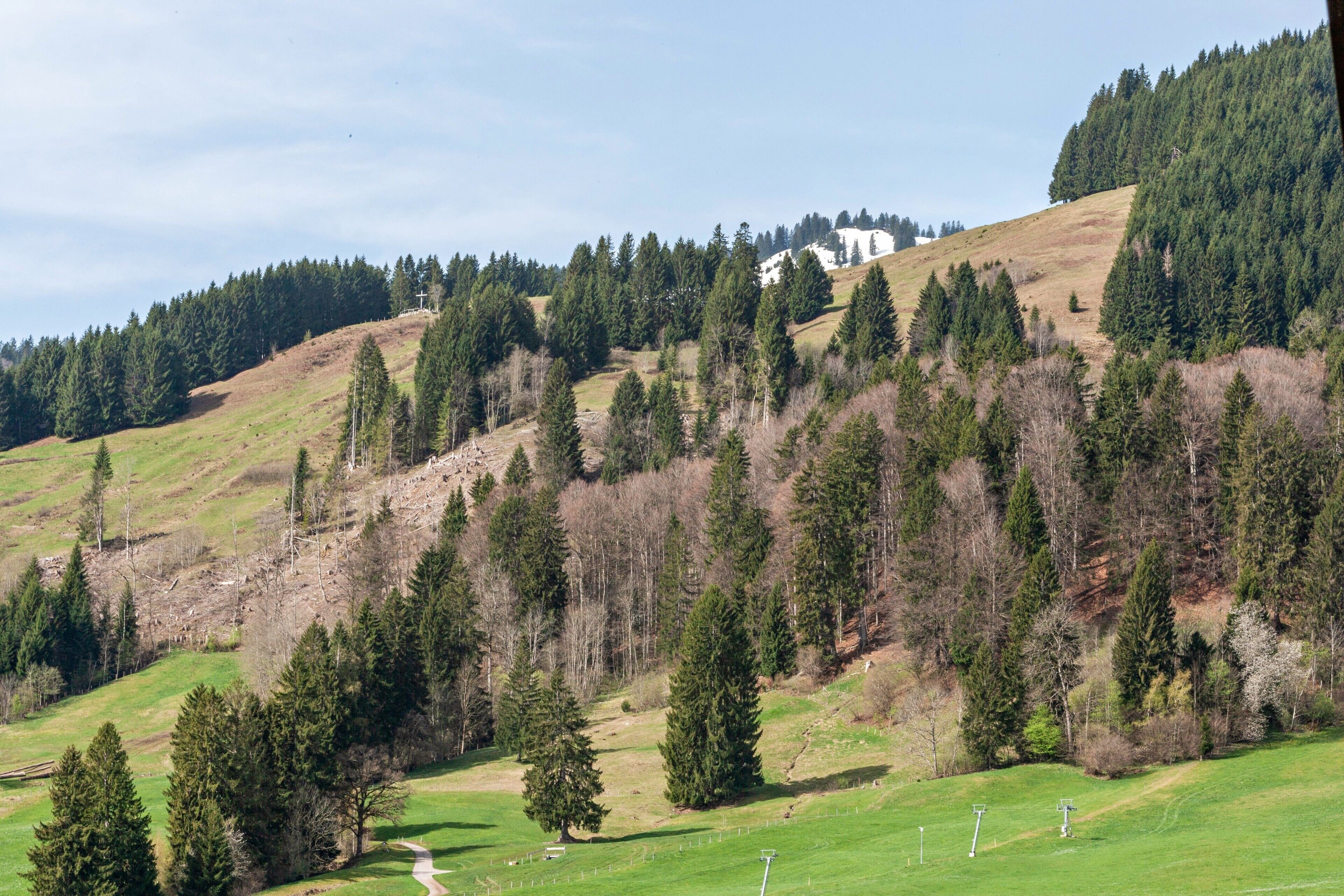 A hilly landscape with a building on a hilltop, surrounded by dense forests and a clear sky.